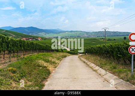 rural landscape and view of small town Ribeauville on Alsace Wine Route, France Stock Photo