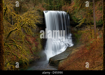 OREGON - Middle North Falls on the Trail of Ten Falls through the Cascade Mountains foothills in Silver Falls State Park. Stock Photo