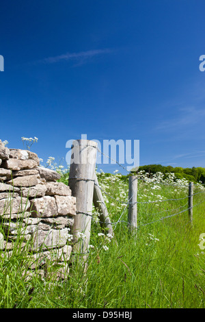 A cotswold stone wall wth fence Stock Photo