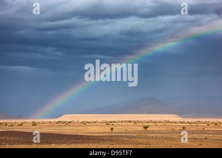 Rainbow over desert landscape with Acacia trees and dark rainy sky. Stock Photo