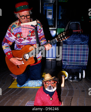 Barcelona - an old man busker  / performing street entertainer and his cute dressed up little dog, on the pavement after dark. Spain, Europe. Stock Photo