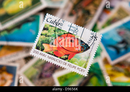 mixed marine postage stamps in studio setting Stock Photo