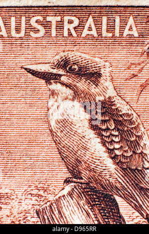 australian postage stamp with kookaburra in studio setting Stock Photo