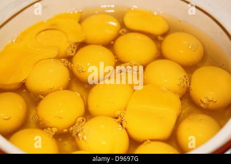 Close up of chicken Egg white and yolk in a bowl Stock Photo