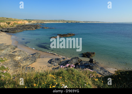 View from Godrevy across St Ives bay, North Cornwall, England, UK Stock Photo