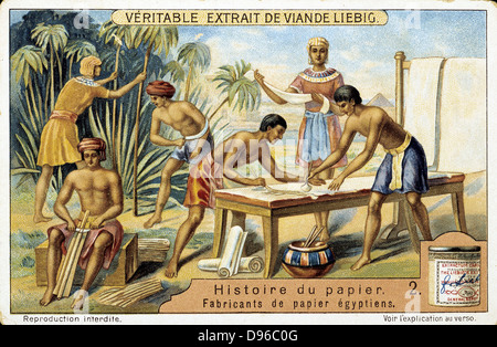 Papyrus reed (Cyperus papyrus) being used to make writing material. Stem of the reed used to make a form of paper.  Also used to produce fibre for sails, mats, cloth, etc, and roots used as fuel. Pith used as food. Artist's reconstruction. Liebig trade ca Stock Photo