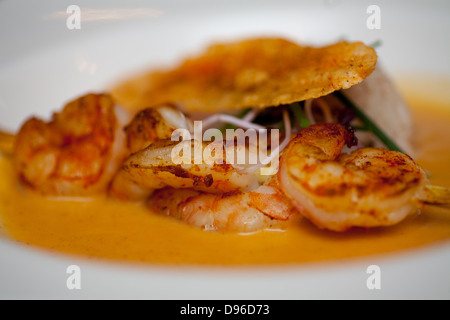 Haute Cuisine appetizer dish with fresh gambas or tiger prawns Stock Photo