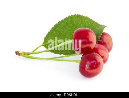Red cherries isolated on white background Stock Photo