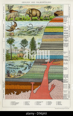 Diagram showing formation of different rocks and evolution of life on ...