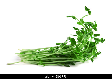 Healthy food.Snow Pea Sprouts isolated on white Stock Photo