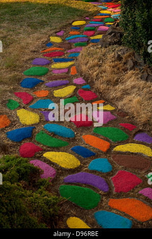 Rock path through yard with rocks multicolored Stock Photo