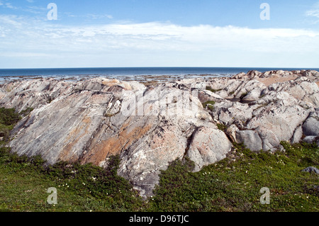 A rocky outcrop on the west coast of Hudson Bay at low tide in the Arctic Ocean, in Canadian Shield terrain, near Churchill, Manitoba, Canada. Stock Photo