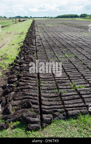 Peat cutting Wilhelmsfehn Wiesmoor Aurich Lower Saxony Germany Torfabbau Stock Photo