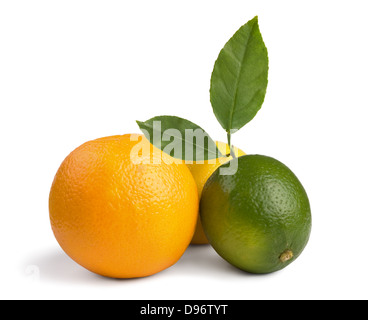 image of a fresh whole lime,lemon and orange isolated on white Stock Photo