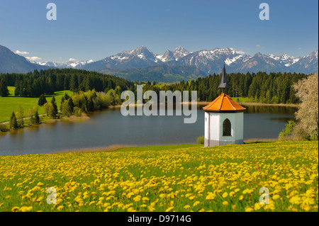 panorama landscape in bavaria with lake and alps mountains in spring Stock Photo