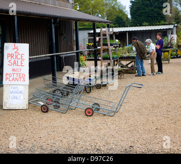 Half price plant sale at Swanns nursery garden centre, Bromeswell, Suffolk, England Stock Photo
