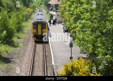 Diesel train on the East Suffolk railway line at Wickham Market station, Campsea Ashe, Suffolk, England Stock Photo