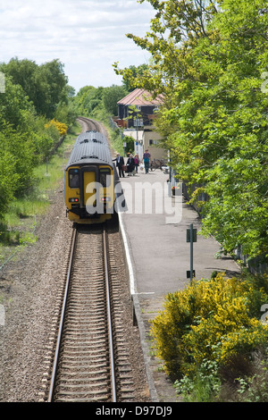 Diesel train on the East Suffolk railway line at Wickham Market station, Campsea Ashe, Suffolk, England, UK Class Super 256 Sprinter Stock Photo