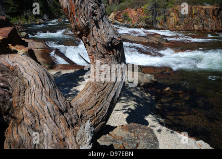 Glen Alpine Falls near Lake Tahoe California Stock Photo