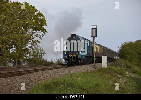 The Cathedrals Express Steaming Through Powderham Stock Photo