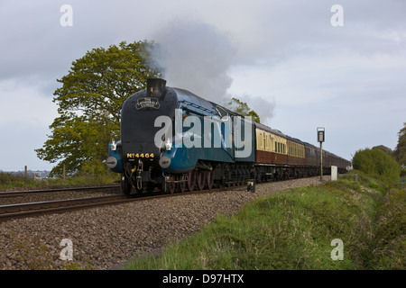The Cathedrals Express Steaming Through Powderham Stock Photo