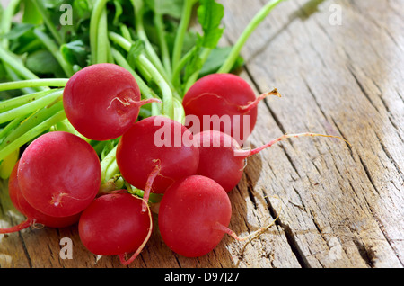 Small garden radish isolated on old wooden background Stock Photo