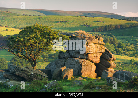 Dartmoor moorland and countryside in summer time, Saddle Tor, Dartmoor, Devon, England. July 2012 Stock Photo