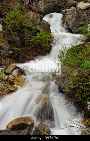 Apikuni Falls Glacier National Park Many Glacier Unit Montana USA Stock Photo