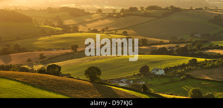 Rolling countryside in summer time, Nr Crediton, Devon, England. Summer (July) 2012. Stock Photo