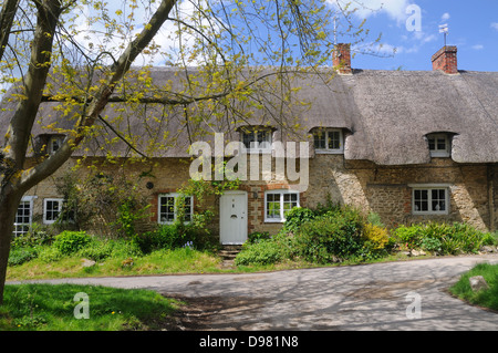 Early 18th c. thatched cottages on Mill Lane in Great Haseley, Oxfordshire, England Stock Photo