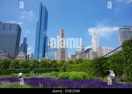 Lurie Gardens, Millennium Park Chicago skyline in background Stock Photo