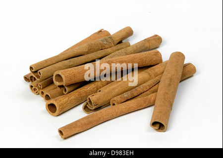 A pile of brown cinnamon quills on a white background. Stock Photo