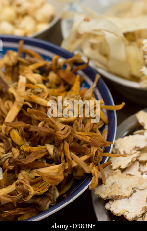 Dried Lily Buds Stock Photo