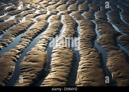 Rippled sand and sea water on a beach at dusk pattern.  Devon, England Stock Photo