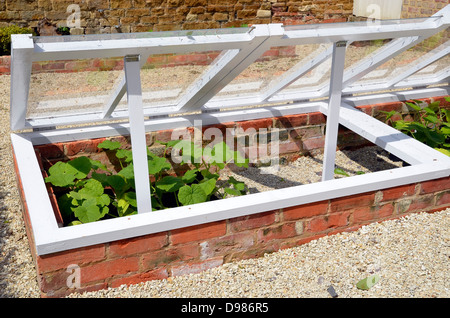 A cold frame used to protect and harden off tender plants  in an English garden. Stock Photo