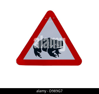 Warning red triangle warning drivers to be aware of frogs crossing the road cutout on a white background Stock Photo