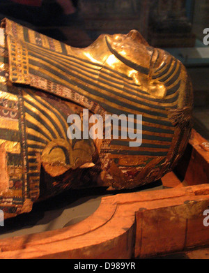 Hornedjitef hi-res stock photography and images - Alamy