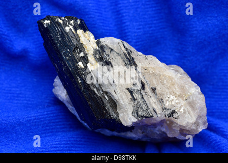 Black tourmaline crystal in white quartz. Stock Photo