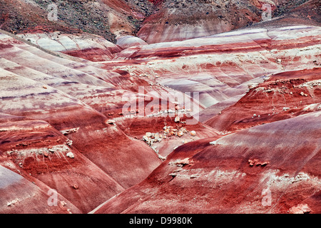 Overnight rainfall enriches colorful volcanic ash deposits at the Bentonite Hills in Utah's Capitol Reef National Park. Stock Photo
