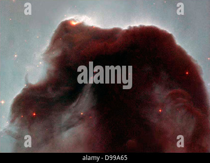 Horsehead Nebula in the constellation Orion Stock Photo - Alamy