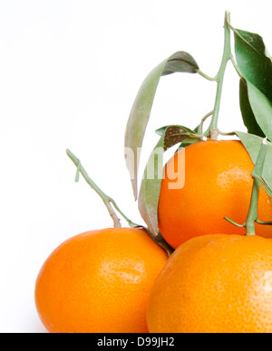 Tangerines isolated on white background Stock Photo