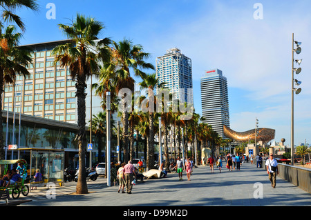 Barcelona, Spain - July 07, 2012: Tourists on promenade admire whale sculpture in Barceloneta Stock Photo