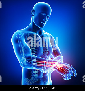 Anatomy of human hand in blue Stock Photo