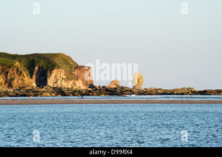Coastline, sand and sea at low tide on Bantham beach. Devon, England Stock Photo