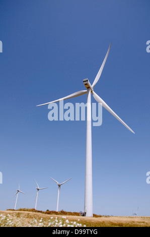 Group of wind turbines in a field at Zahara de los Atunes, Andalusia, Spain. Stock Photo