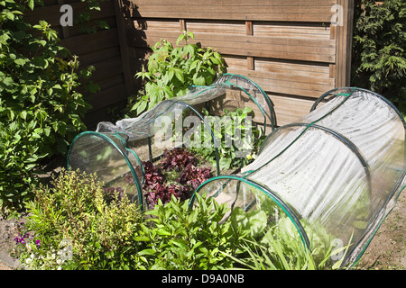 Fruit- and grocery plants in small greenhouses to cultivate by children in a corner of the garden Stock Photo