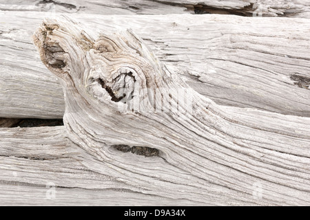 Detail of weathered driftwood found on the Chilean coast in Patagonia Stock Photo
