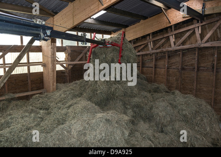 Turning the hay straw & silo inside a barn with an overhead ceiling crane. Stock Photo