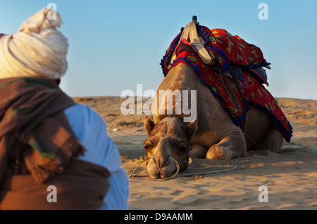 Cameleer waits for tourists at the Sam Sand Dune in Jaisalmer, India. Stock Photo