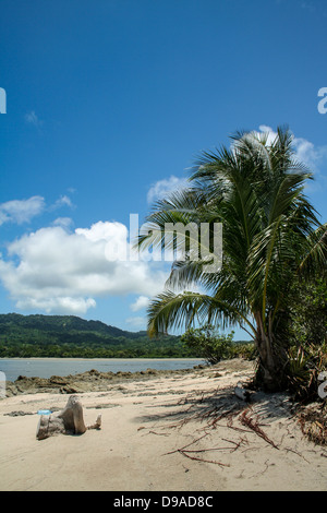 A view of the mainland of Cabuya from Cemetery Ialsnd Stock Photo